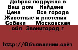 Добрая подружка,в Ваш дом!!!Найдена › Цена ­ 10 - Все города Животные и растения » Собаки   . Московская обл.,Звенигород г.